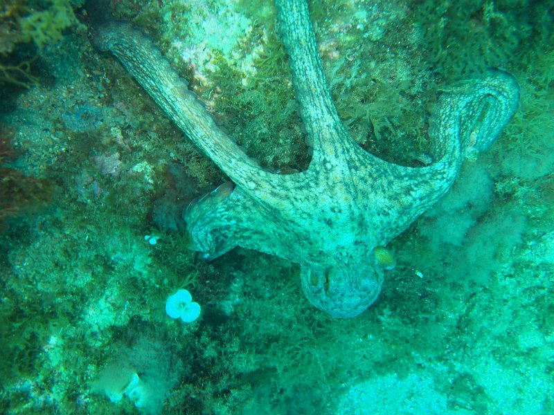 2013-06-13 11-56-33 Mary.JPG